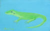 lizzard