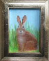 bunny
