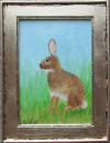 bunny